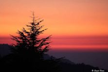colors of night.jpg
